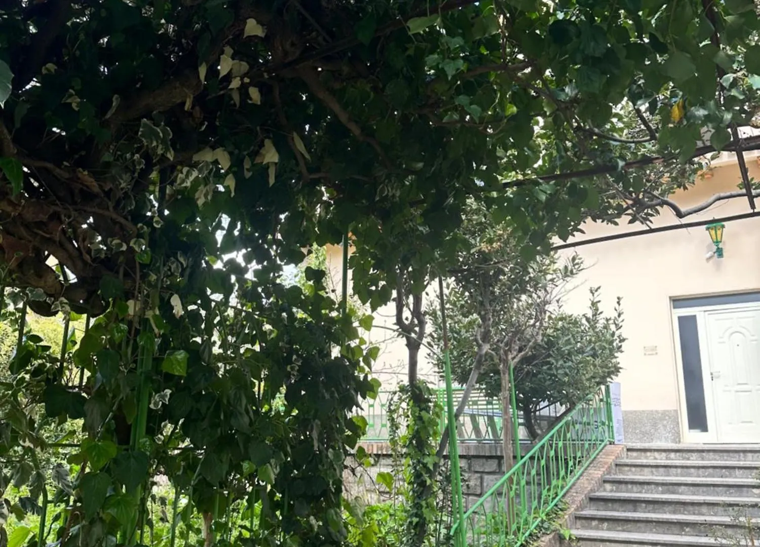 Villa Sveva Laconi Homestay